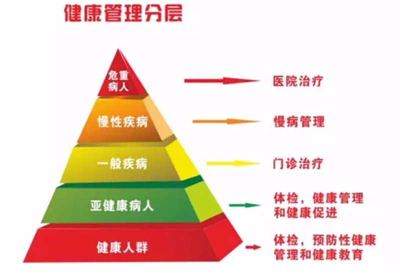 成都市营养学会:引领健康生活新风尚