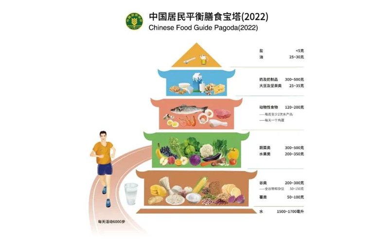 成都市营养学会引领科学养生新风向